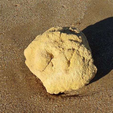 ambergris in tagalog|Ambergris .